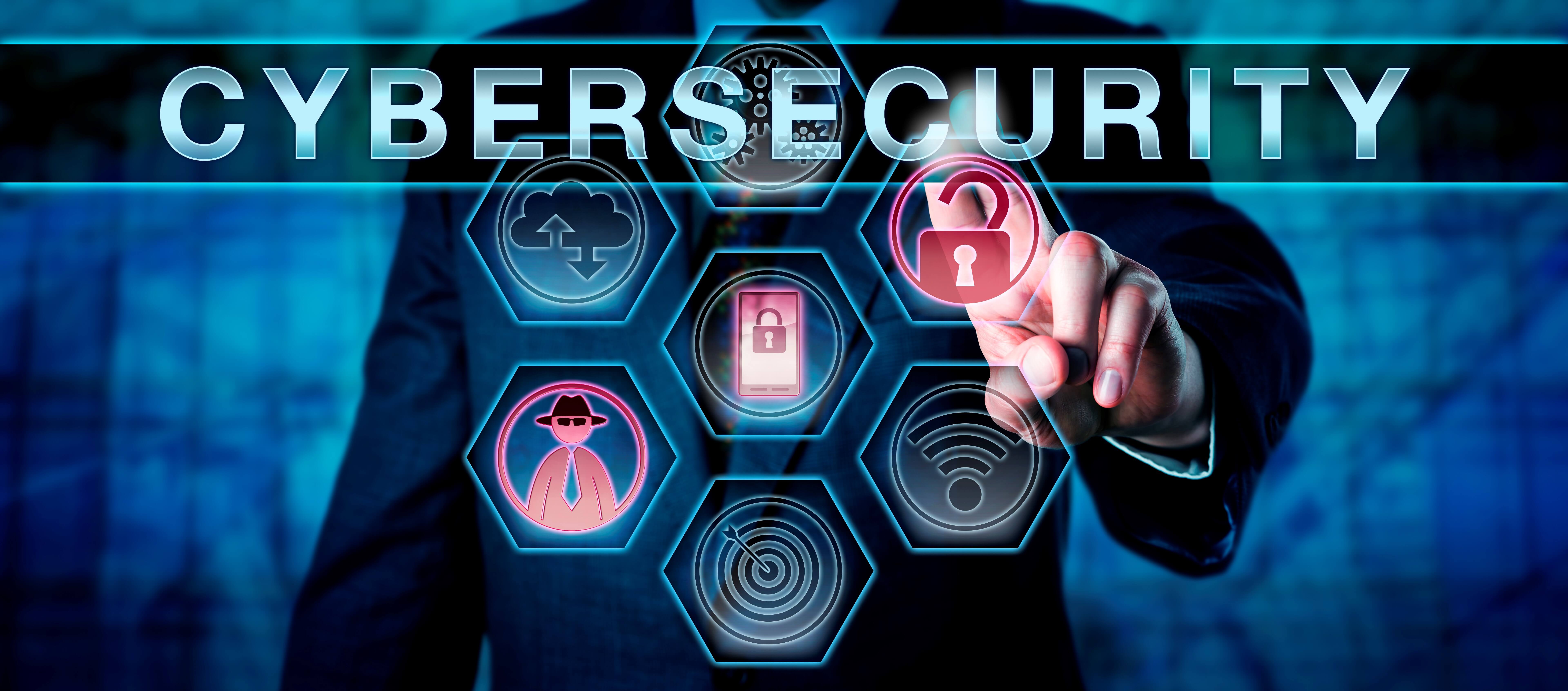 Cybersecurity portfolio